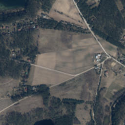 Satelita