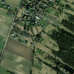 Satelita