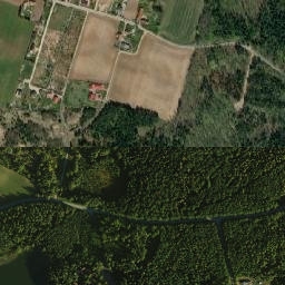 Satelita