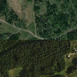 Satelita