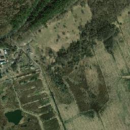 Satelita