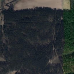 Satelita