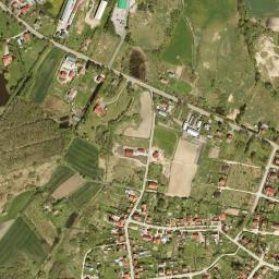Satelita