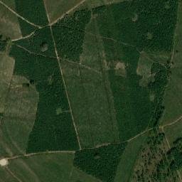 Satelita