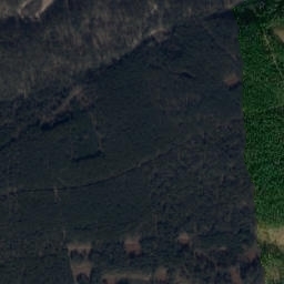 Satelita