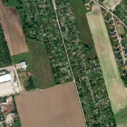 Satelita