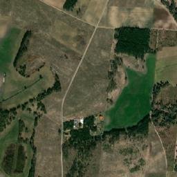 Satelita