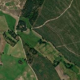 Satelita