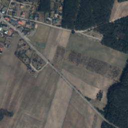 Satelita