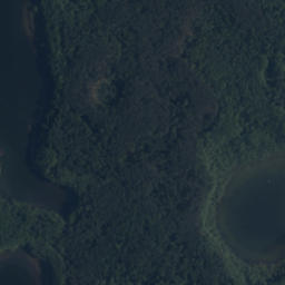 Satelita
