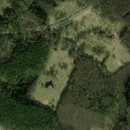 Satelita