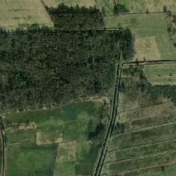 Satelita
