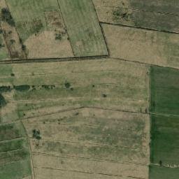Satelita