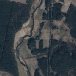 Satelita