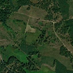 Satelita