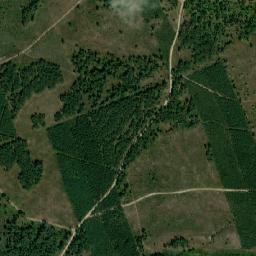 Satelita
