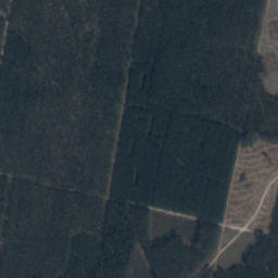 Satelita