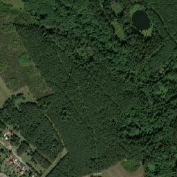 Satelita