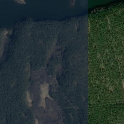 Satelita