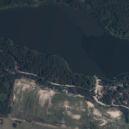 Satelita