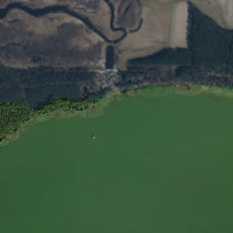 Satelita