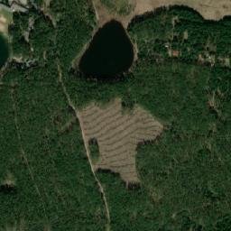 Satelita
