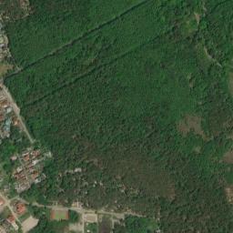 Satelita