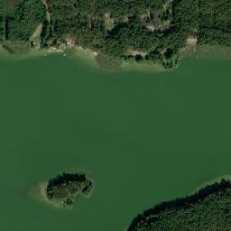 Satelita