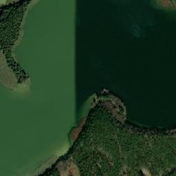 Satelita