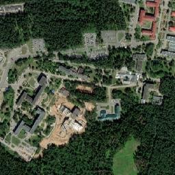 Lyasny map(satellite map)
