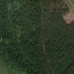 Kozel’skiy Rayon map(satellite map)
