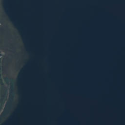 Satelita