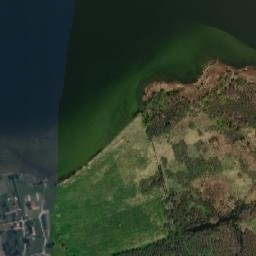 Satelita