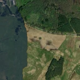 Satelita