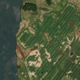 Satelita