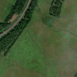 Shafranovo map(satellite map)
