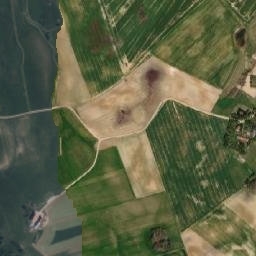 Satelita