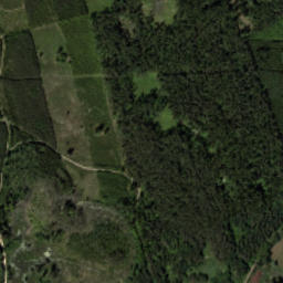 Satelita