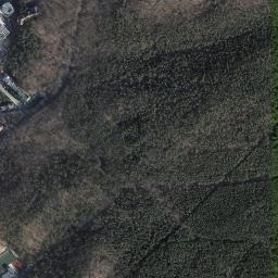 Satelita