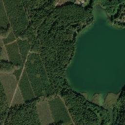 Satelita