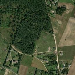 Satelita