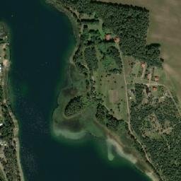 Satelita