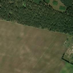 Satelita