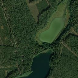 Satelita