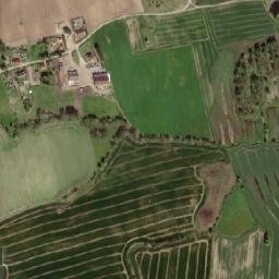 Satelita