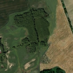 Satelita