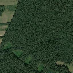 Satelita