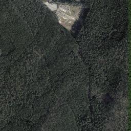 Satelita