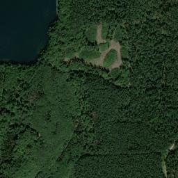 Satelita