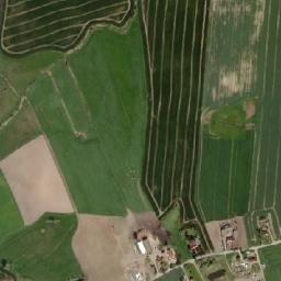 Satelita
